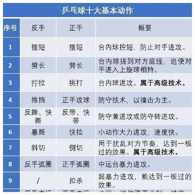 乒乓球功球教学视频从入门到精通，全面提升你的技术水平-第3张图片-www.211178.com_果博福布斯