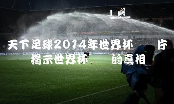 2014天下足球世界杯 2014天下足球世界杯纪录片-第3张图片-www.211178.com_果博福布斯