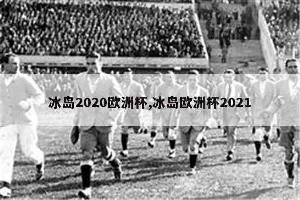 冰岛进入欧洲杯 冰岛无缘2021欧洲杯