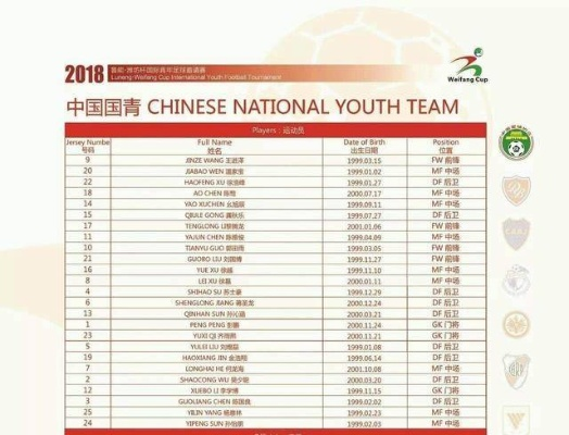 国家队u21和u19区别，你知道吗？-第2张图片-www.211178.com_果博福布斯